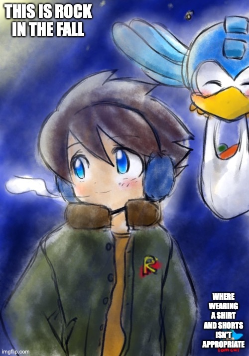 Rock in the Fall | THIS IS ROCK IN THE FALL; WHERE WEARING A SHIRT AND SHORTS ISN'T APPROPRIATE | image tagged in megaman,memes | made w/ Imgflip meme maker