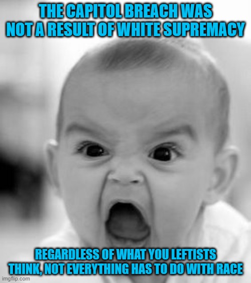 The real racists show their true colors every time they open their fat mouths. | THE CAPITOL BREACH WAS NOT A RESULT OF WHITE SUPREMACY; REGARDLESS OF WHAT YOU LEFTISTS THINK, NOT EVERYTHING HAS TO DO WITH RACE | image tagged in memes,angry baby | made w/ Imgflip meme maker