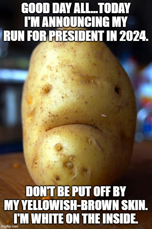 sad potato | GOOD DAY ALL...TODAY I'M ANNOUNCING MY RUN FOR PRESIDENT IN 2024. DON'T BE PUT OFF BY MY YELLOWISH-BROWN SKIN. I'M WHITE ON THE INSIDE. | image tagged in sad potato | made w/ Imgflip meme maker