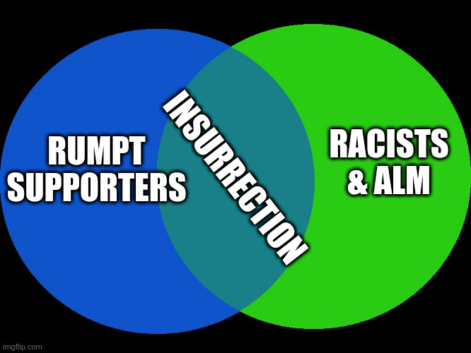 Venn Comparison | RACISTS & ALM; INSURRECTION; RUMPT SUPPORTERS | image tagged in venn comparison | made w/ Imgflip meme maker