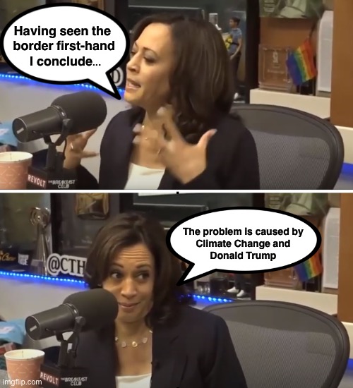 Cackle...Cackle | Having seen the 
border first-hand
 I conclude... The problem is caused by

Climate Change and
 Donald Trump | image tagged in conspiracy theory kamala | made w/ Imgflip meme maker