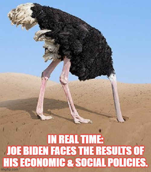 Hole In The Ground | IN REAL TIME:
JOE BIDEN FACES THE RESULTS OF HIS ECONOMIC & SOCIAL POLICIES. | image tagged in joe biden | made w/ Imgflip meme maker