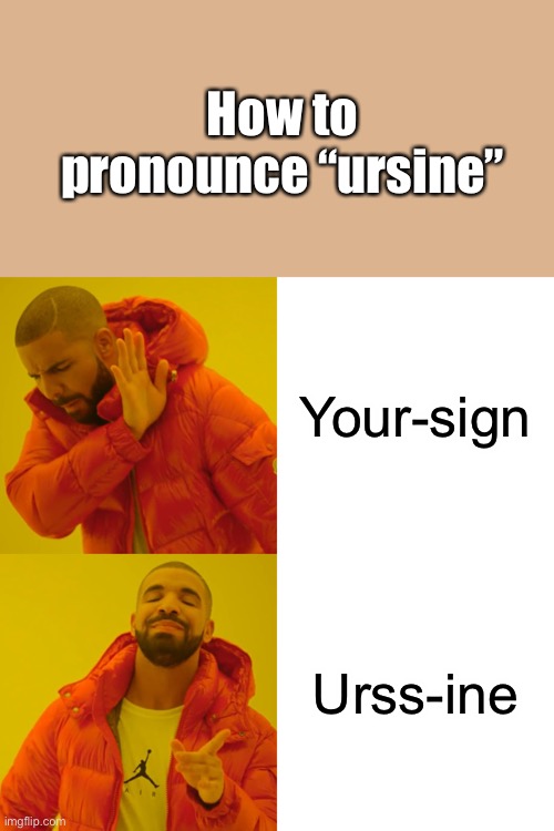 How to pronounce ursine! | How to pronounce “ursine”; Your-sign; Urss-ine | image tagged in memes,drake hotline bling | made w/ Imgflip meme maker