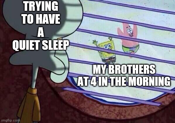 Squidward window | TRYING TO HAVE A QUIET SLEEP; MY BROTHERS AT 4 IN THE MORNING | image tagged in squidward window | made w/ Imgflip meme maker