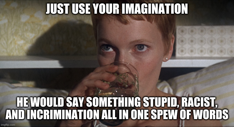 Rosemary | JUST USE YOUR IMAGINATION; HE WOULD SAY SOMETHING STUPID, RACIST, AND INCRIMINATION ALL IN ONE SPEW OF WORDS | image tagged in rosemary | made w/ Imgflip meme maker