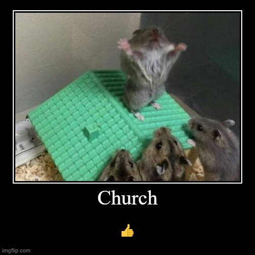 image tagged in funny,demotivationals,hamster | made w/ Imgflip demotivational maker
