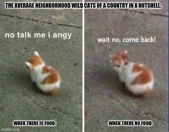 No talk me I angy, wait no, come back! | THE AVERAGE NEIGHBORHOOD WILD CATS OF A COUNTRY IN A NUTSHELL:; WHEN THERE IS FOOD:                                                           WHEN THERE NO FOOD: | image tagged in memes,warrior cats,neighborhood | made w/ Imgflip meme maker