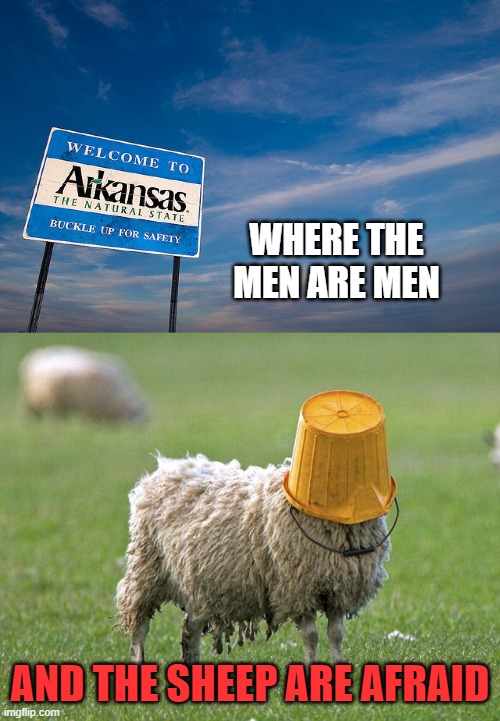 WHERE THE MEN ARE MEN; AND THE SHEEP ARE AFRAID | image tagged in welcome to arkansas,stupid sheep | made w/ Imgflip meme maker
