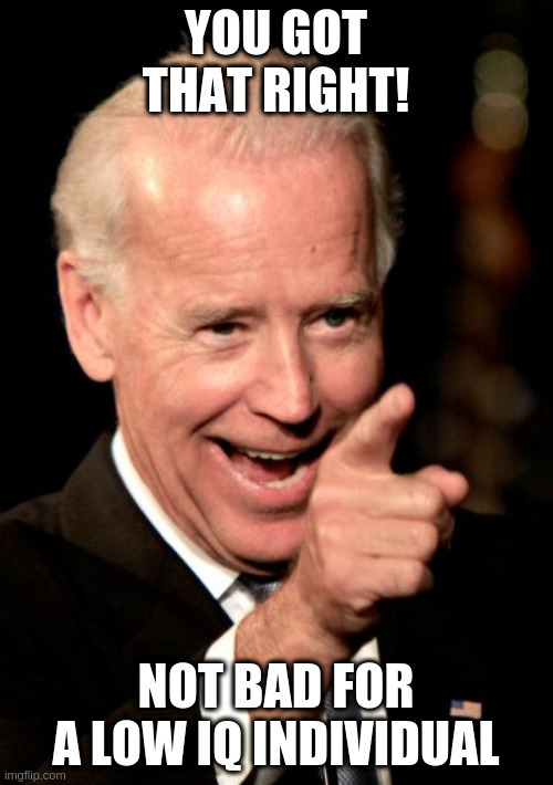 when you're critical but make a good point | YOU GOT THAT RIGHT! NOT BAD FOR A LOW IQ INDIVIDUAL | image tagged in memes,smilin biden | made w/ Imgflip meme maker