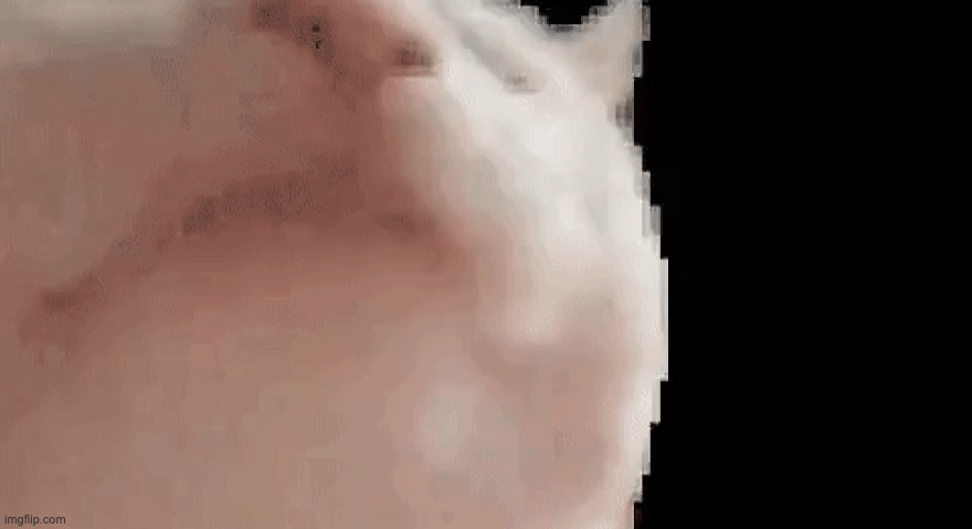 Vibing cat | image tagged in vibing cat | made w/ Imgflip meme maker