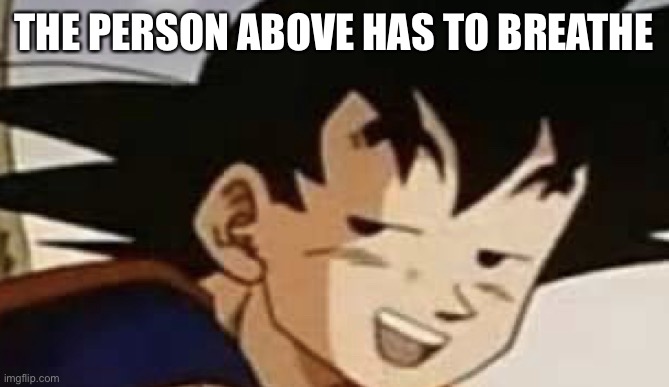 Smug goku | THE PERSON ABOVE HAS TO BREATHE | image tagged in smug goku | made w/ Imgflip meme maker