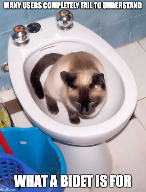 Cat in Bidet | MANY USERS COMPLETELY FAIL TO UNDERSTAND; WHAT A BIDET IS FOR | image tagged in bidet,cat,memes | made w/ Imgflip meme maker