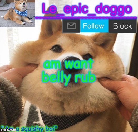 *doggo noises intensifies* | am want belly rub | image tagged in am a squishy boi temp | made w/ Imgflip meme maker