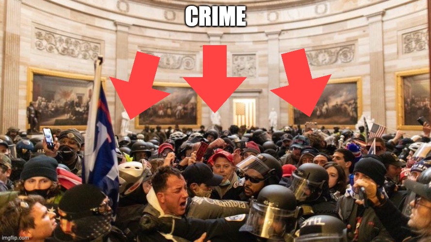 Capitol "Protestors" | CRIME | image tagged in capitol protestors | made w/ Imgflip meme maker