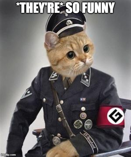 Grammar Nazi Cat | *THEY'RE* SO FUNNY | image tagged in grammar nazi cat | made w/ Imgflip meme maker