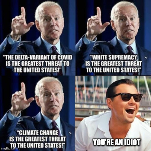 President Sh*t Stain | YOU'RE AN IDIOT | image tagged in biden | made w/ Imgflip meme maker