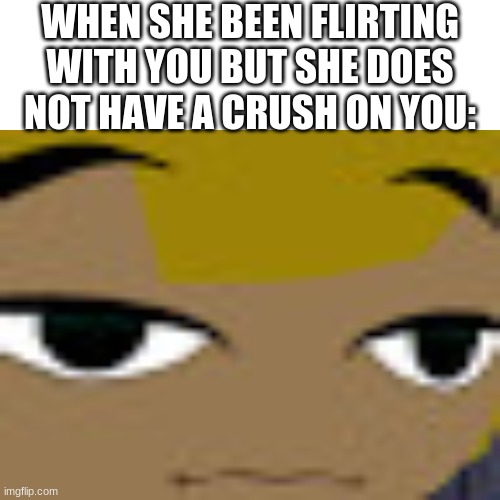 disappointed link | WHEN SHE BEEN FLIRTING WITH YOU BUT SHE DOES NOT HAVE A CRUSH ON YOU: | image tagged in link,memes,funny | made w/ Imgflip meme maker