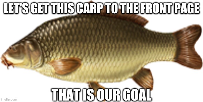 You guys can do it! :) | LET'S GET THIS CARP TO THE FRONT PAGE; THAT IS OUR GOAL | image tagged in front page,challenge,fish,oh wow are you actually reading these tags,idk | made w/ Imgflip meme maker