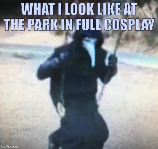 Last meme before I hit the road | WHAT I LOOK LIKE AT THE PARK IN FULL COSPLAY | image tagged in cosplay,park | made w/ Imgflip meme maker