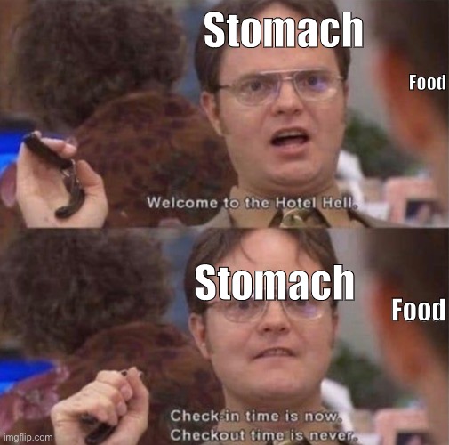 food die | Stomach; Food; Stomach; Food | image tagged in hotel hell | made w/ Imgflip meme maker