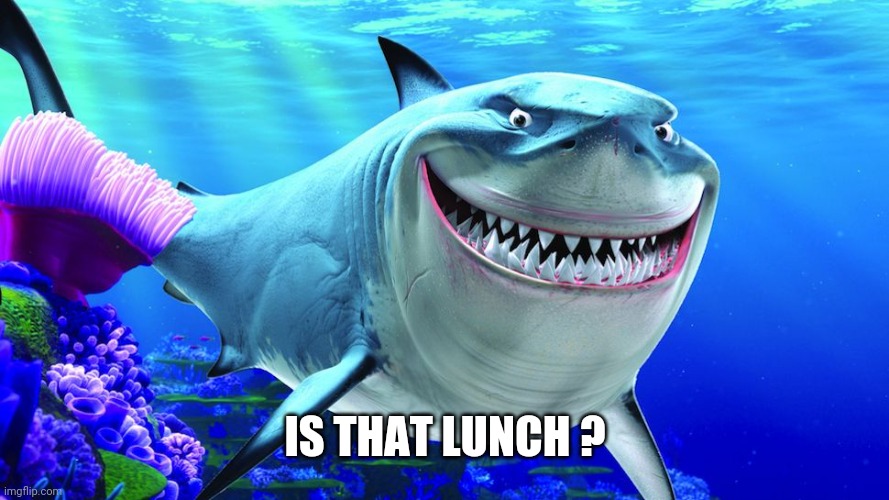 Happy Shark | IS THAT LUNCH ? | image tagged in happy shark | made w/ Imgflip meme maker