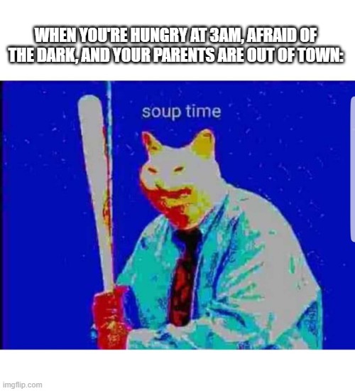 Let the Banquet of 3am BEGIN! | WHEN YOU'RE HUNGRY AT 3AM, AFRAID OF THE DARK, AND YOUR PARENTS ARE OUT OF TOWN: | image tagged in soup time cat,memes,deep fried | made w/ Imgflip meme maker