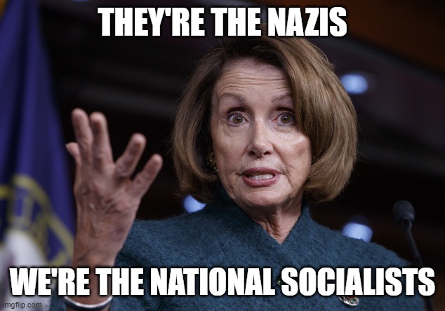 Good old Nancy Pelosi | THEY'RE THE NAZIS WE'RE THE NATIONAL SOCIALISTS | image tagged in good old nancy pelosi | made w/ Imgflip meme maker