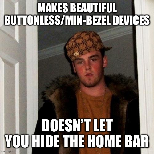 Scumbag Steve Meme | MAKES BEAUTIFUL BUTTONLESS/MIN-BEZEL DEVICES; DOESN’T LET YOU HIDE THE HOME BAR | image tagged in memes,scumbag steve | made w/ Imgflip meme maker