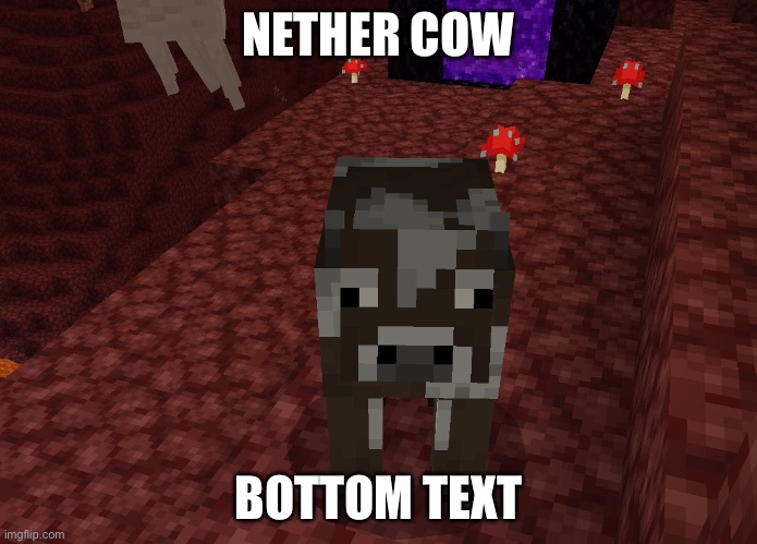 Nether cow | NETHER COW; BOTTOM TEXT | made w/ Imgflip meme maker