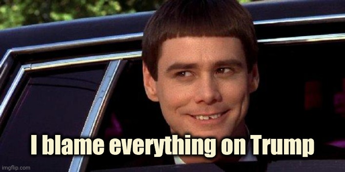 dumb and dumber | I blame everything on Trump | image tagged in dumb and dumber | made w/ Imgflip meme maker