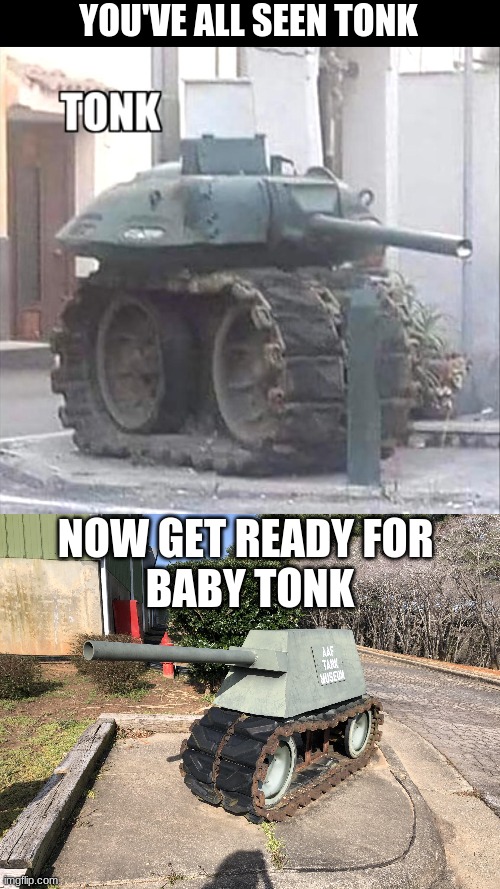 YOU'VE ALL SEEN TONK; NOW GET READY FOR 
BABY TONK | image tagged in tonk | made w/ Imgflip meme maker