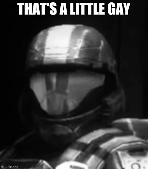 Halo 3 ODST The Rookie | THAT'S A LITTLE GAY | image tagged in halo 3 odst the rookie | made w/ Imgflip meme maker