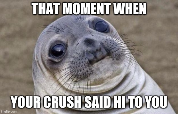 Awkward Moment Sealion Meme | THAT MOMENT WHEN; YOUR CRUSH SAID HI TO YOU | image tagged in memes,awkward moment sealion | made w/ Imgflip meme maker