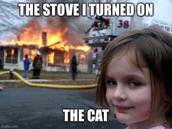 Psycho cat | THE STOVE I TURNED ON; THE CAT | image tagged in memes,disaster girl,cats | made w/ Imgflip meme maker