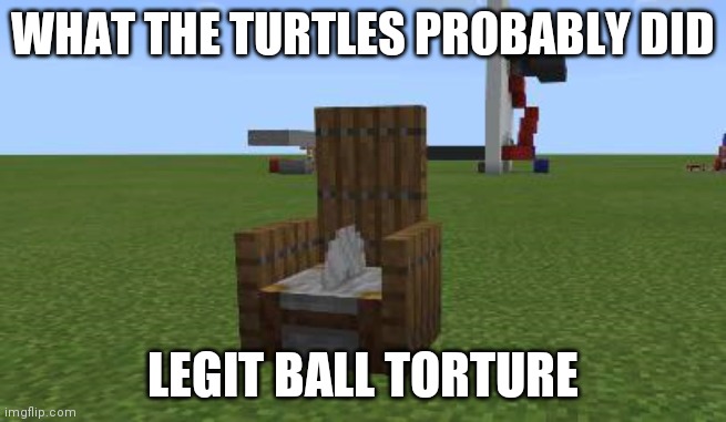 minecraft CBT chair | WHAT THE TURTLES PROBABLY DID LEGIT BALL TORTURE | image tagged in minecraft cbt chair | made w/ Imgflip meme maker