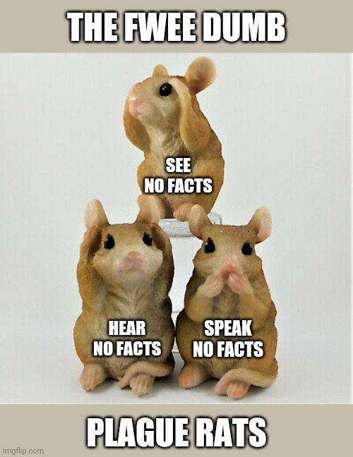 The Fwee Dumb Plague Rats | THE FWEE DUMB; SEE NO FACTS; HEAR NO FACTS; SPEAK NO FACTS; PLAGUE RATS | image tagged in memes,funny,covid,plague,rats | made w/ Imgflip meme maker