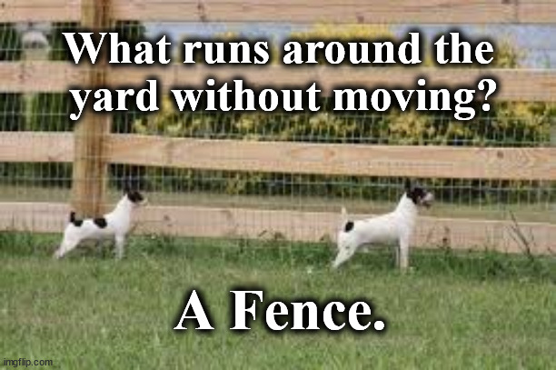 fence | What runs around the
 yard without moving? A Fence. | image tagged in fence | made w/ Imgflip meme maker