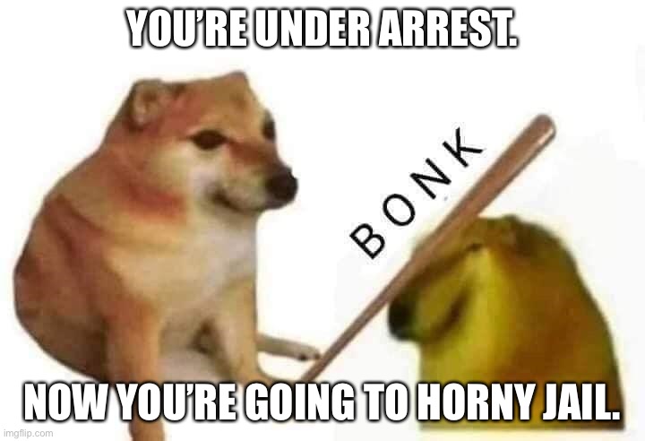 HORNY JAIL | YOU’RE UNDER ARREST. NOW YOU’RE GOING TO HORNY JAIL. | image tagged in doge bonk | made w/ Imgflip meme maker