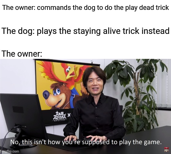 The dog staying alive trick | The owner: commands the dog to do the play dead trick; The dog: plays the staying alive trick instead; The owner: | image tagged in this isn't how you're supposed to play the game,funny,memes,dogs,owner,blank white template | made w/ Imgflip meme maker