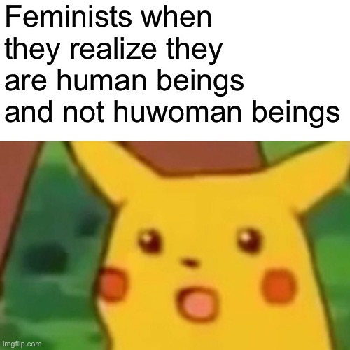 Surprised Pikachu |  Feminists when they realize they are human beings and not huwoman beings | image tagged in memes,surprised pikachu,feminism,feminist | made w/ Imgflip meme maker