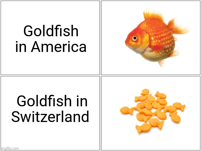 the more you know | Goldfish in America; Goldfish in Switzerland | image tagged in memes,blank comic panel 2x2,fun,switzerland,goldfish | made w/ Imgflip meme maker