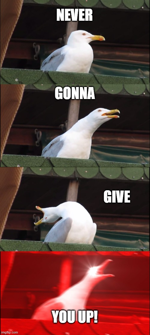 Inhaling Seagull | NEVER; GONNA; GIVE; YOU UP! | image tagged in memes,inhaling seagull | made w/ Imgflip meme maker