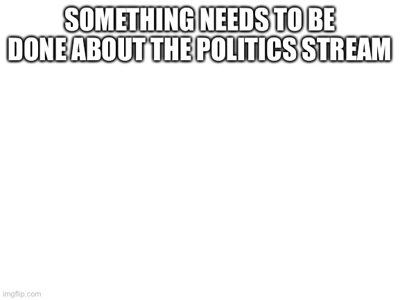 Blank White Template | SOMETHING NEEDS TO BE DONE ABOUT THE POLITICS STREAM | image tagged in blank white template | made w/ Imgflip meme maker