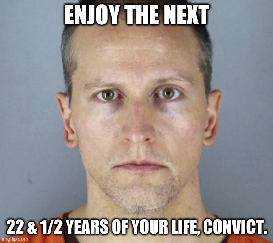 Enjoy prison, Convict. | ENJOY THE NEXT; 22 & 1/2 YEARS OF YOUR LIFE, CONVICT. | image tagged in derek chauvin | made w/ Imgflip meme maker