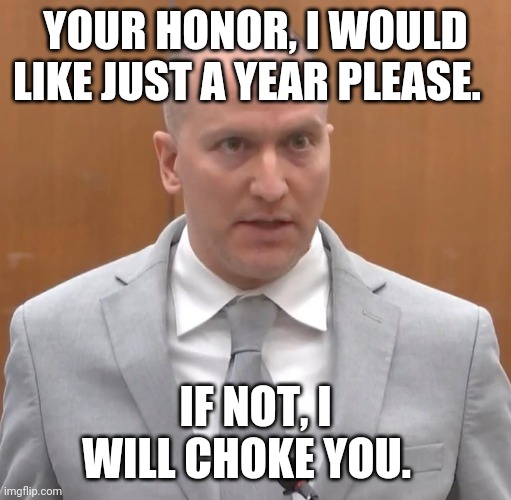 Derek Chauvin | YOUR HONOR, I WOULD LIKE JUST A YEAR PLEASE. IF NOT, I WILL CHOKE YOU. | image tagged in minnesota | made w/ Imgflip meme maker