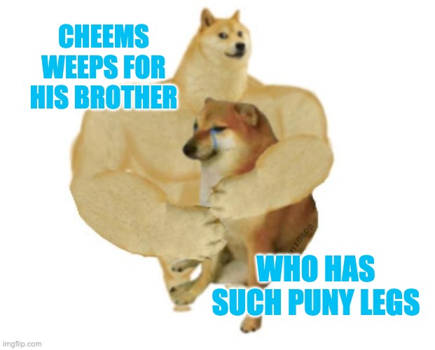 Poor Buff Doge! | CHEEMS WEEPS FOR HIS BROTHER; WHO HAS SUCH PUNY LEGS | image tagged in big brother doge hugging little brother cheems,cheems,brothers,legs | made w/ Imgflip meme maker