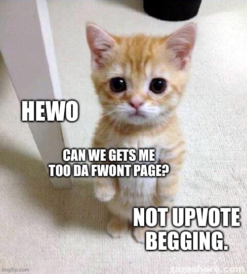 Cute Cat Meme | HEWO; CAN WE GETS ME TOO DA FWONT PAGE? NOT UPVOTE BEGGING. | image tagged in memes,cute cat,frontpage,boobs,sexy,naked woman | made w/ Imgflip meme maker