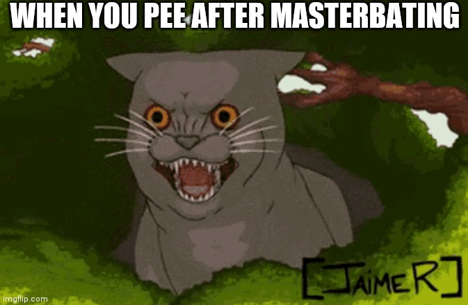Pain | WHEN YOU PEE AFTER MASTERBATING | image tagged in cat,gif,meme,angry | made w/ Imgflip meme maker