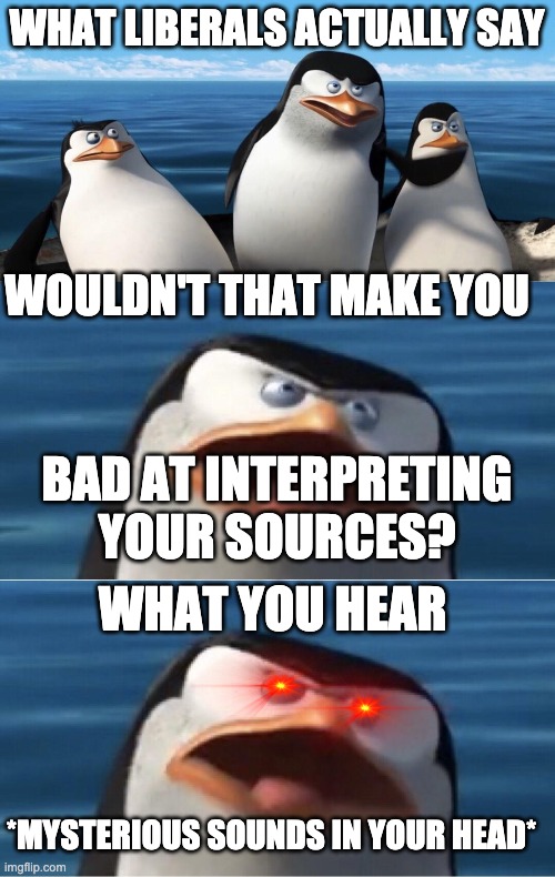 WHAT LIBERALS ACTUALLY SAY BAD AT INTERPRETING YOUR SOURCES? WOULDN'T THAT MAKE YOU WHAT YOU HEAR *MYSTERIOUS SOUNDS IN YOUR HEAD* | image tagged in wouldn't that make you | made w/ Imgflip meme maker