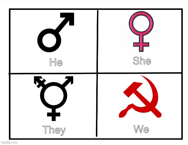 Blank quadrant |  She; He; We; They | image tagged in blank quadrant | made w/ Imgflip meme maker